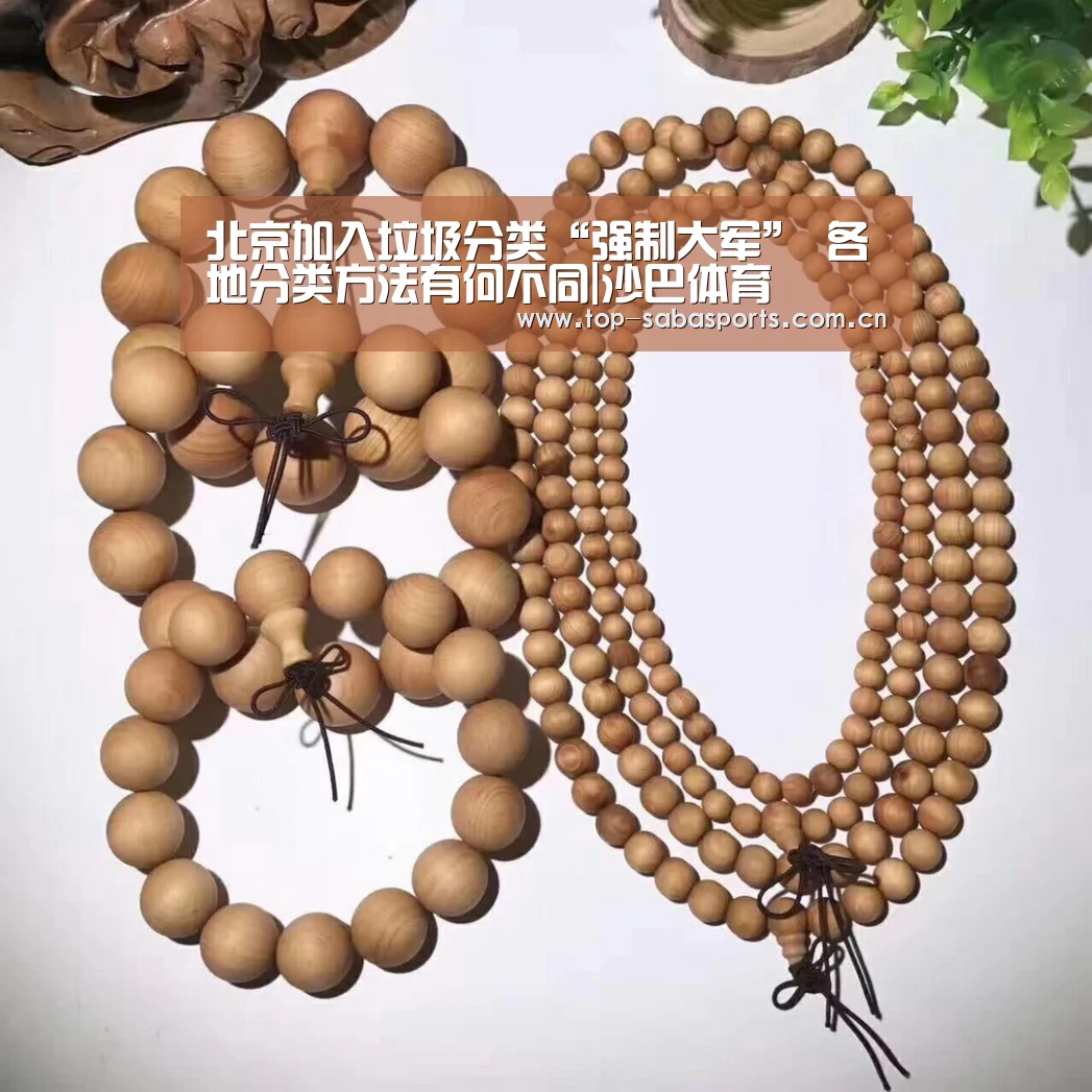 沙巴体育app