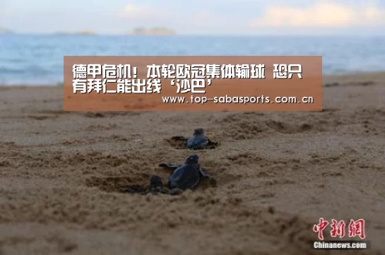 德甲危机!本轮欧冠集体输球 恐只有拜仁能出线‘沙巴’(图1) 沙巴