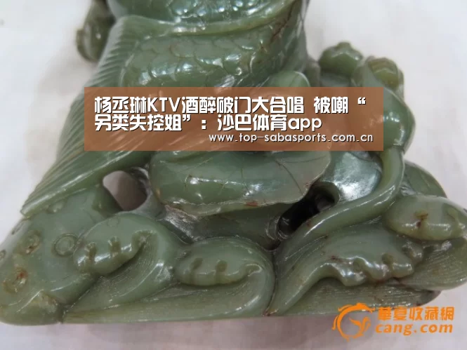 杨丞琳KTV酒醉破门大合唱 被嘲“另类失控姐”:沙巴体育app(图3) 沙巴体育app