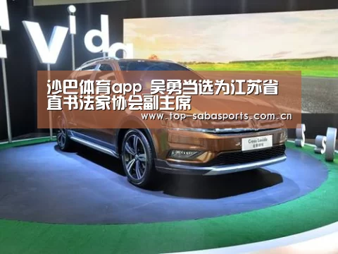 沙巴体育app_吴勇当选为江苏省直书法家协会副主席(图4) 沙巴体育平台