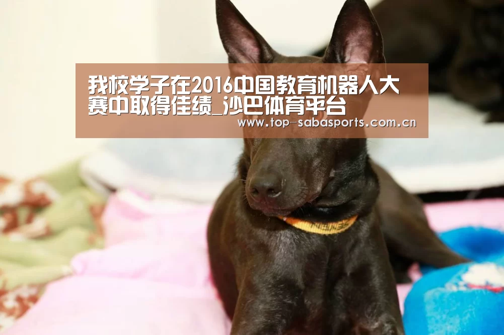 我校学子在2016中国教育机器人大赛中取得佳绩_沙巴体育平台(图3) 沙巴体育app